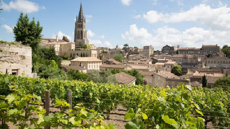 Flodkryssning genom vindalarna i Bordeaux 17-23 oktober 2026